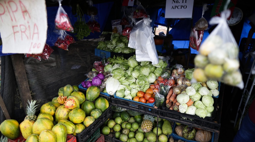 La FAO llama a Centroamérica a aprovechar su "invaluable biodiversidad alimentaria"