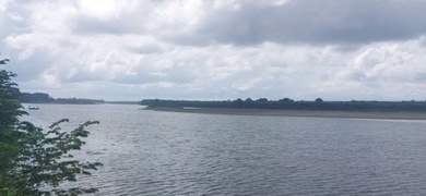 río térraba puerto cortés de osa costa rica