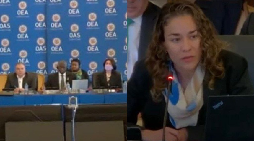 Tamara Dávila y Félix Maradiaga dan su testimonio en la OEA por encarcelamiento inhumano y desacato de Ortega