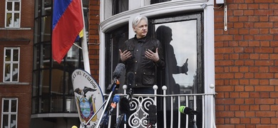 assange wikilieaks