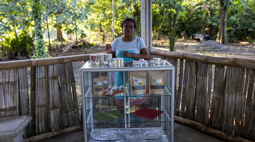 Mujeres de Costa Rica y solicitantes de asilo se unen para salvar una plantación de cacao