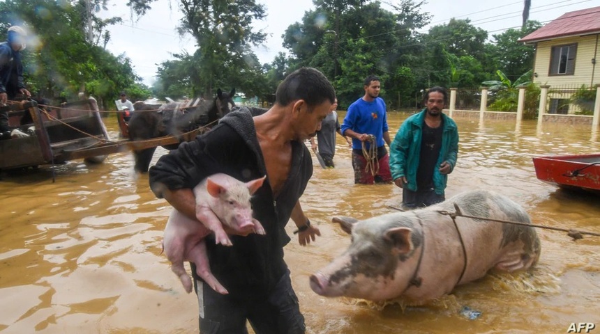 La tormenta Eta provoca "pérdidas millonarias" en el sector agrícola de Honduras