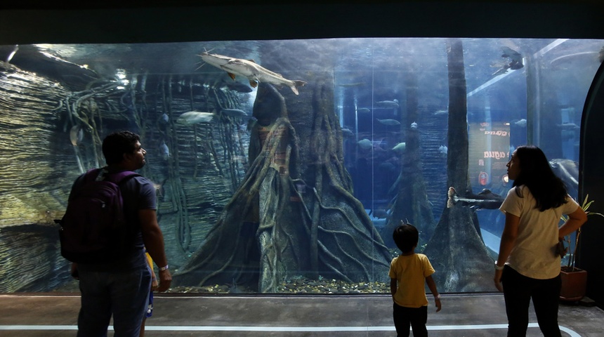 Acuario en Medellín sumerge a invidentes y sordos en una experiencia accesible