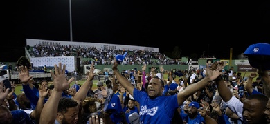 tigres ganan serie final de beisbol dominicano