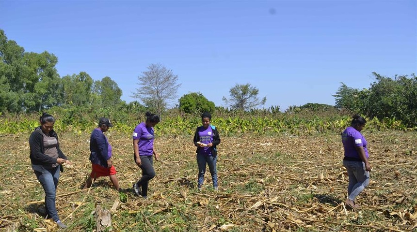 Campesinas nicaragüenses temen crisis alimentaria tras huracanes