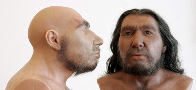 reproducciones neandertales adn