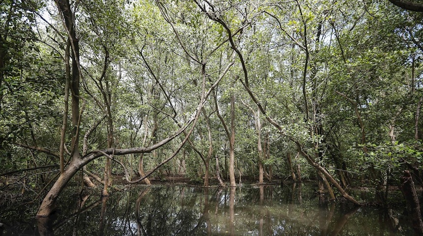 Costa Rica destaca alianza para posicionar las áreas marinas protegidas