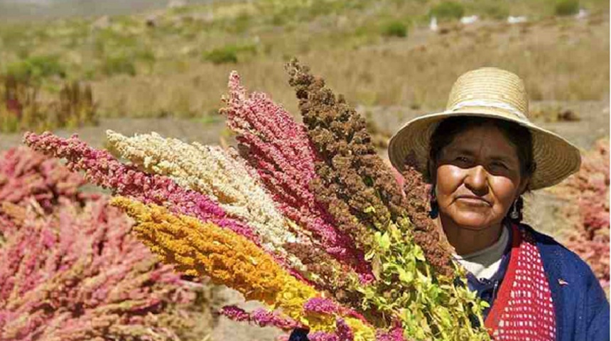 Costa Rica sin mano de obra migrante para cosecha de productos agrícolas