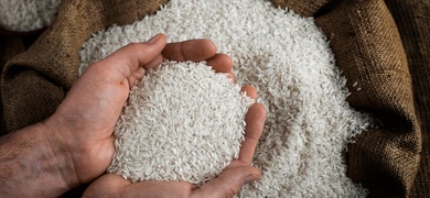 republica dominicana aplica arancel arroz nicaragua