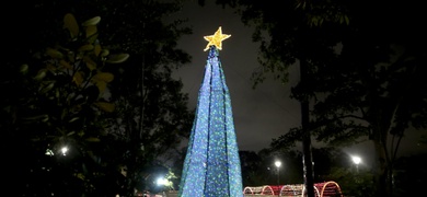 fallecidos navidad honduras