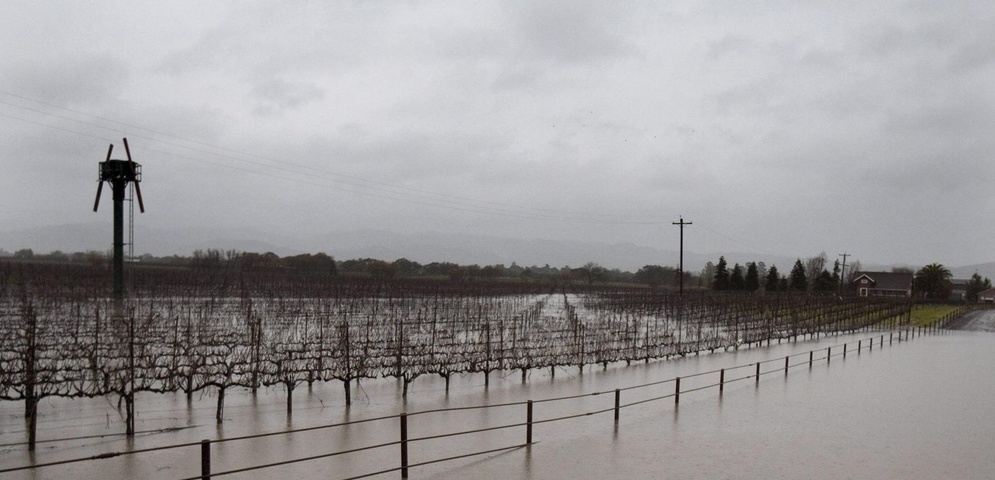 inundación de viñedos california
