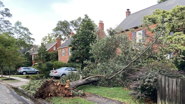 tormenta washington sin electricidad