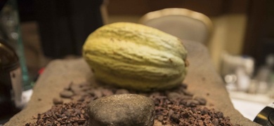 exportaciones cacao nicaragua