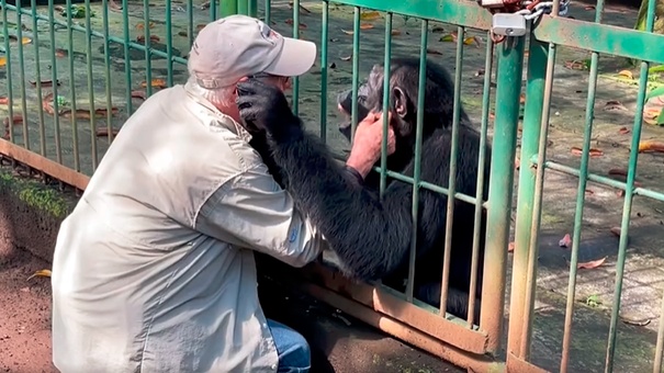 Eduardo Sacasa se despide del chimpancé "Pipo"
