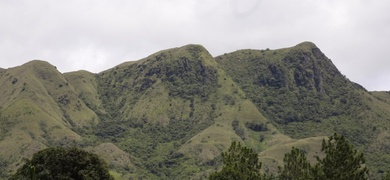 reforestacion en panama