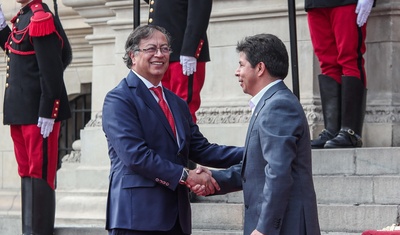 petro pide medidas cautelares presidente peru destituido