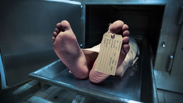 muerto morgue referencial pixabay