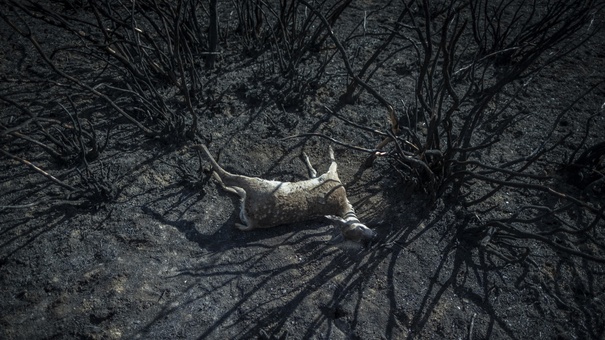 espana catastrofes naturales crisis climatica