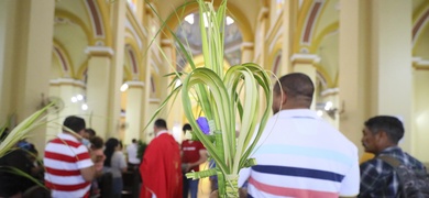 domingo ramos honduras semana santa