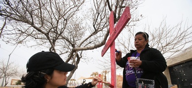 manifestantes protesta ola de feminicidios mexico