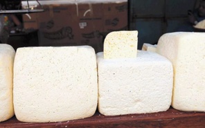 productores de queso nicaragua