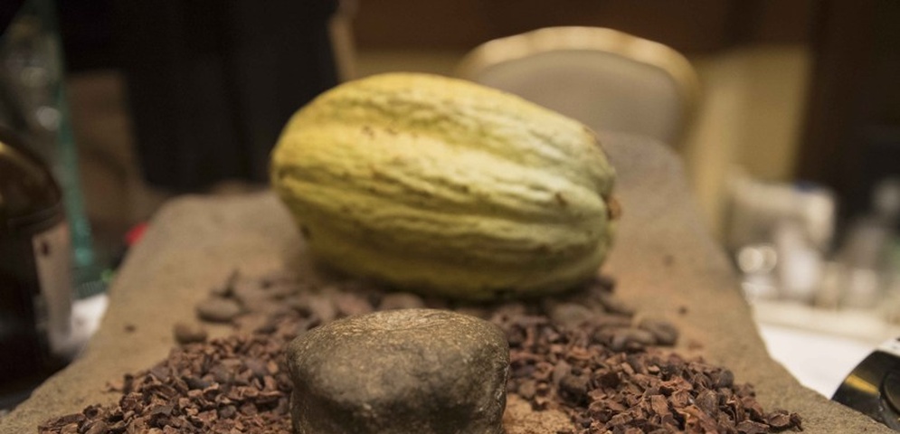 exportaciones cacao nicaragua