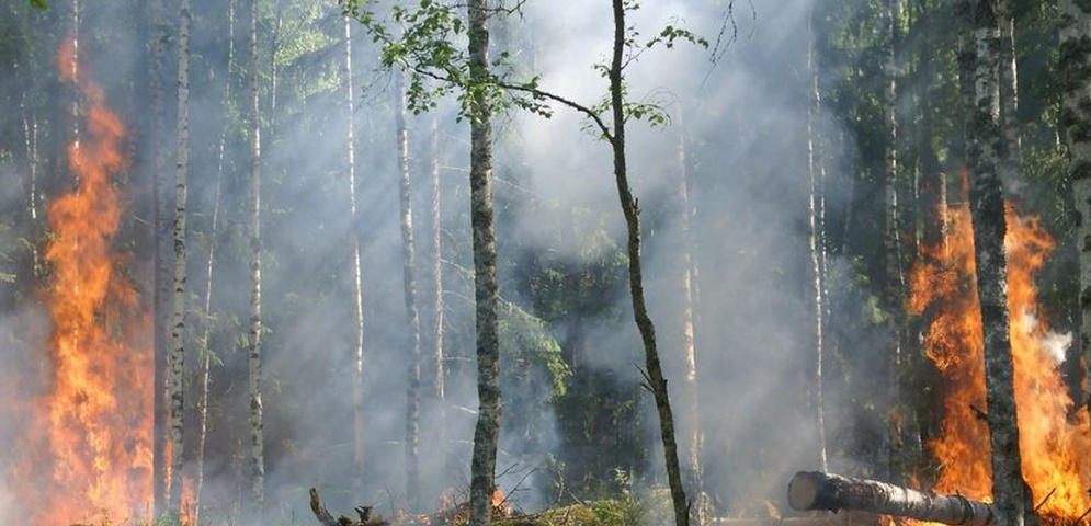 incendio bosawas nicaragua