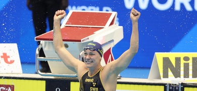 campeonato mundial natacion