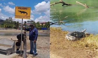 presencia de cocodrilos en nicaragua