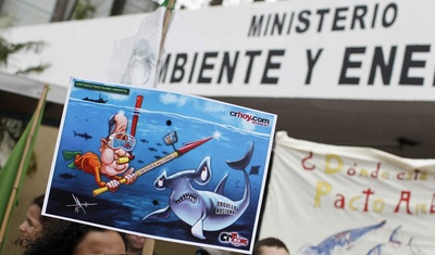 costa rica prohibe pesca tiburon martillo