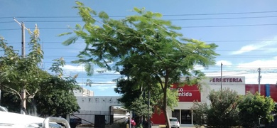 quitan rotulo instalaciones la prensa nicaragua