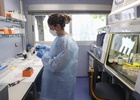laboratoria analisis viruela mono