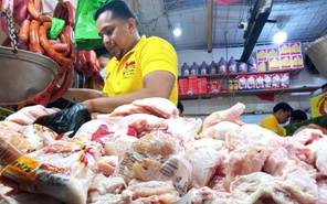 comerciantes pollo mercado oriental nicaragua