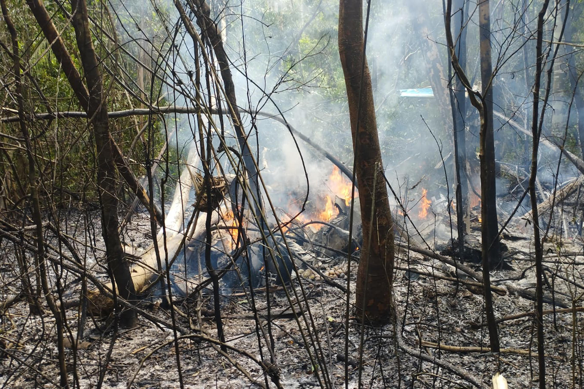 Doce Personas Mueren Por La Caída De Una Avioneta En La Amazonía Brasileña 5500