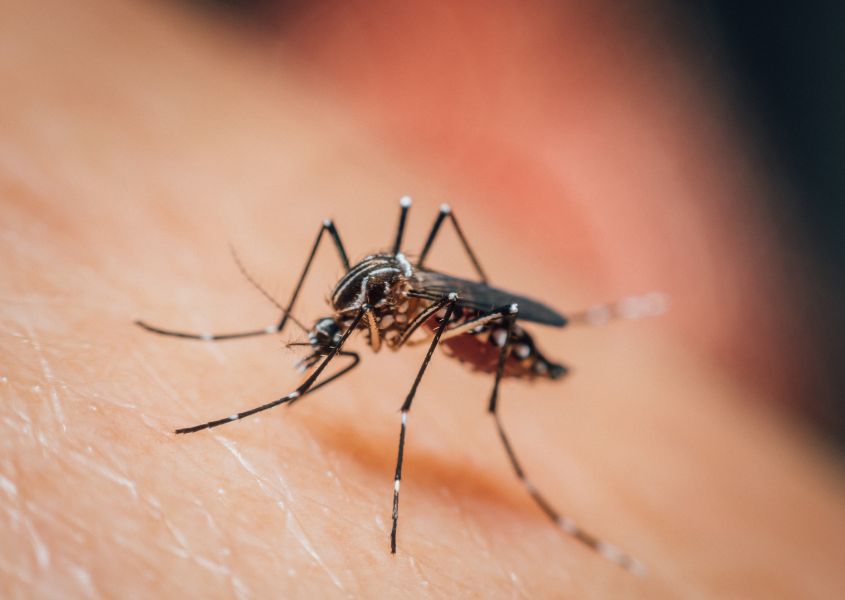 Invierno no arranca en Nicaragua, el dengue no cede y casos de malaria aumentan