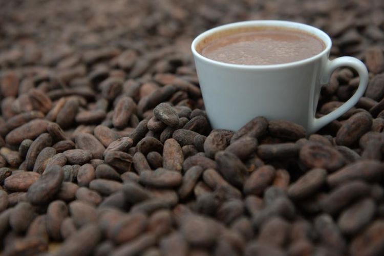 Holanda destaca el aumento de la producción de café y