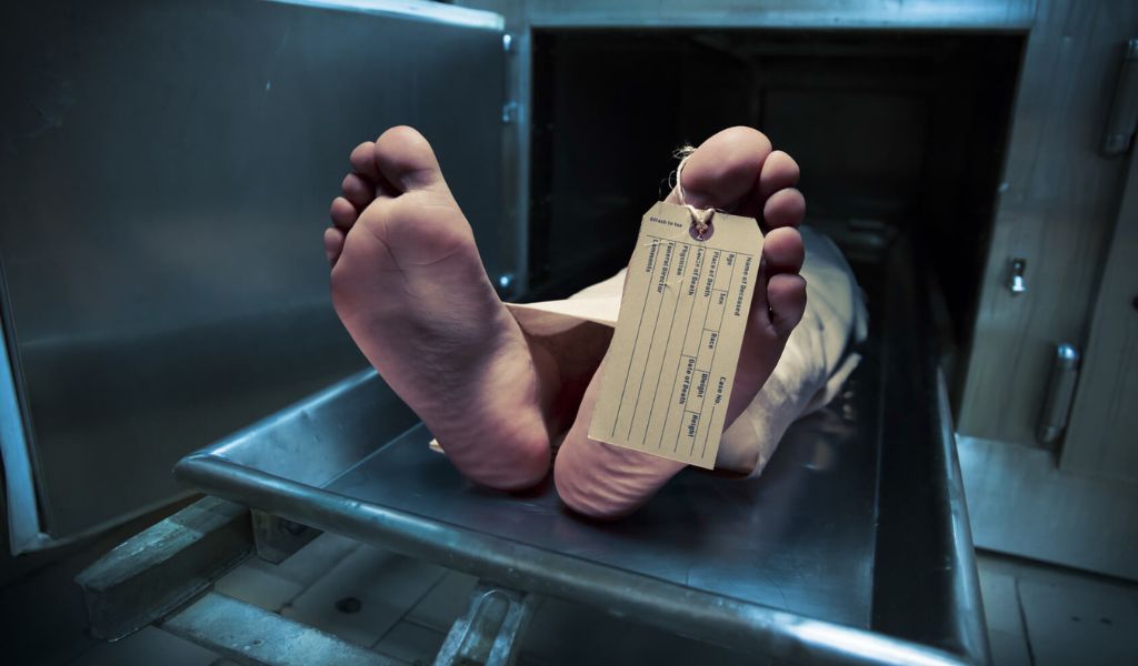 cuerpos muertos morgue referencial