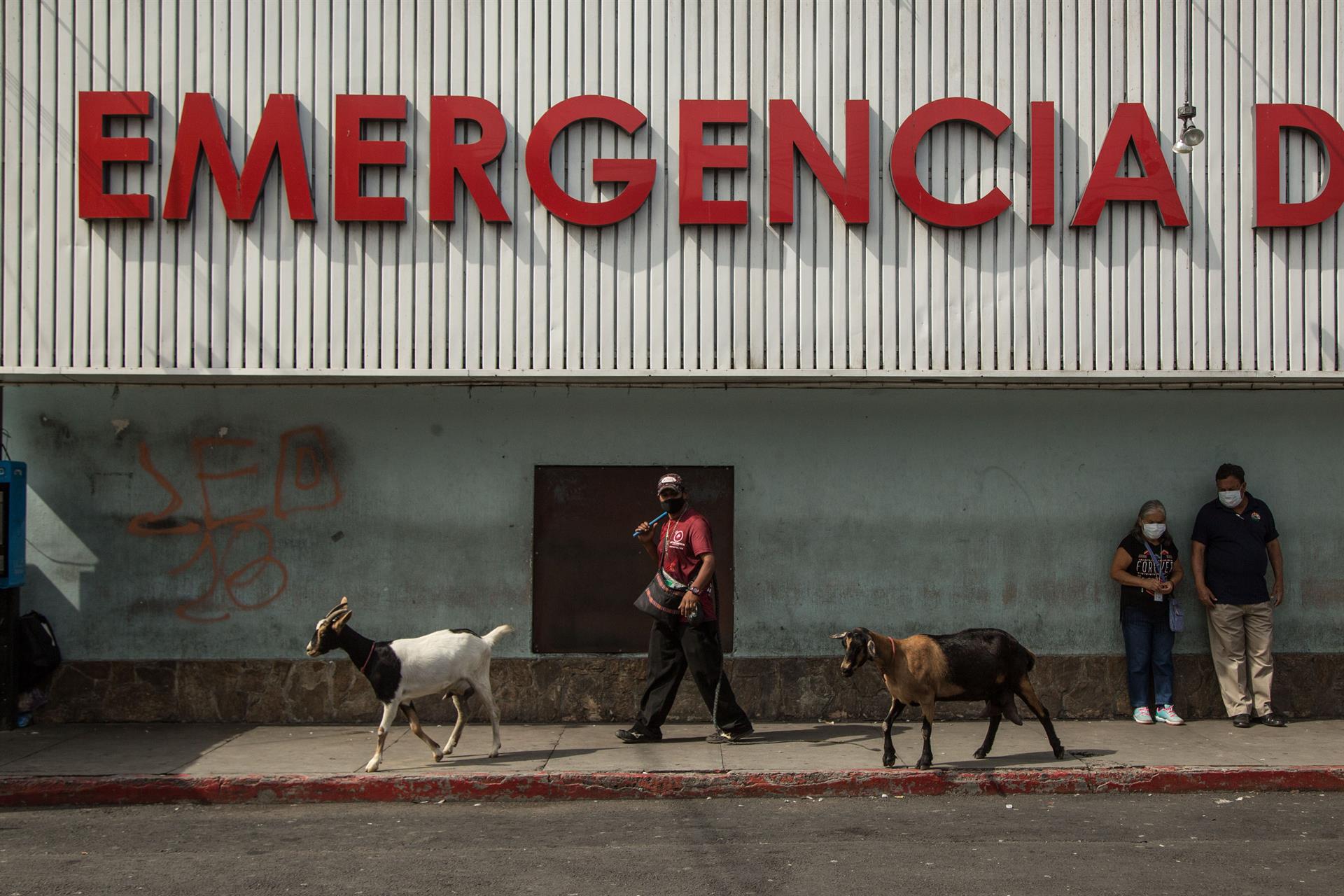 guatemala viruela simica mono hospital emergencia
