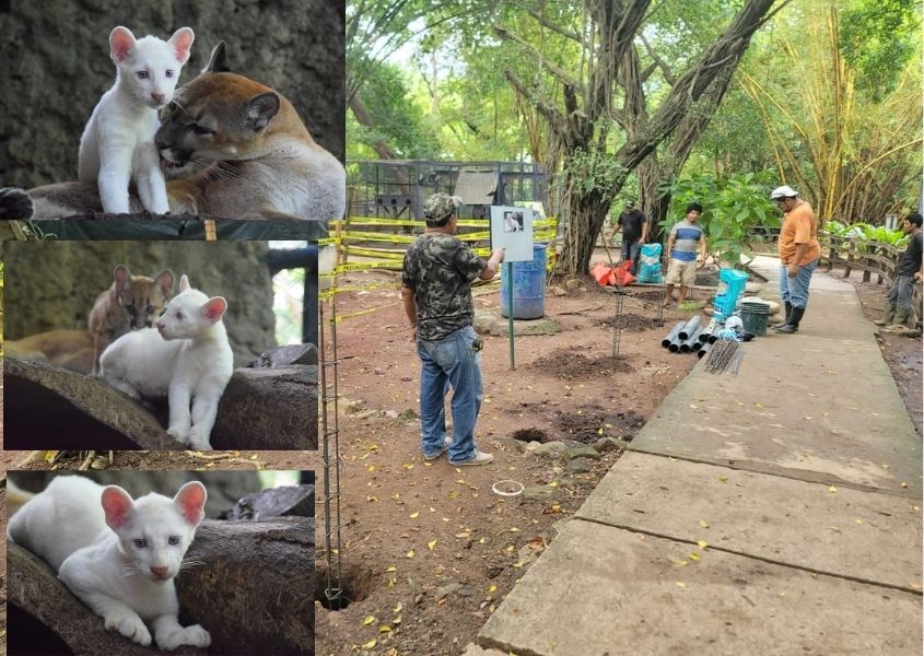 Preparan condiciones para visitantes en el zoológico de Juigalpa, Nicaragua.